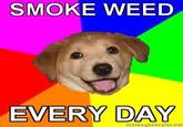Smoke Weed Everyday