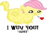 Fluffy Ponies