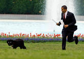 Obama the Eater of Dogs