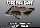 Cyber Intelligence Sharing and Protect Act (CISPA)