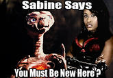 You Must Be New Here