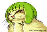 Limecat