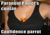 Paranoid Parrot