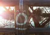 Eyebombing