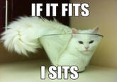 If It Fits I Sits