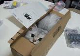 If It Fits I Sits