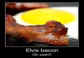 Bacon