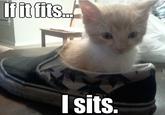 If It Fits I Sits