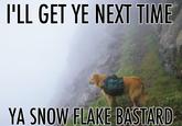 Wilf the fell terrier.