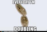 Everyday I'm Shufflin'