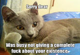 Willy Wonkat