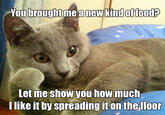 Willy Wonkat