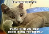 Willy Wonkat