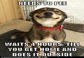 Good Dog Greg