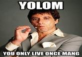 YOLO