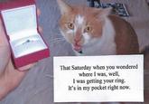 PostSecret