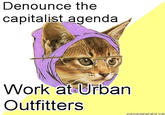 Hipster Kitty