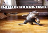 Haters Gonna Hate