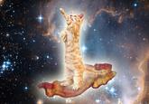 Bacon