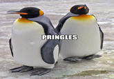 Wurds