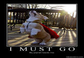 I Must Go