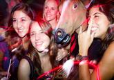 Horse Head Mask