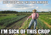 Scarecrow