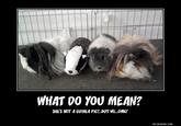 Demotivational Posters