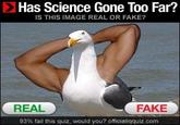 Birds with Arms