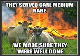 Evil Cows
