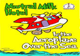 In the Aeroplane over the Sea (Cover Art)