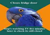 Paranoid Parrot