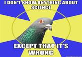 Religion Pigeon