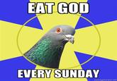 Religion Pigeon