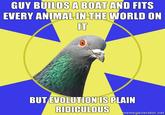 Religion Pigeon