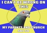 Religion Pigeon