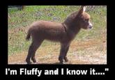 I'm Sexy And I Know It