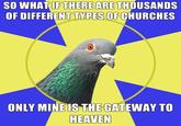 Religion Pigeon