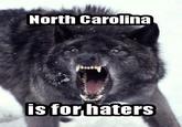 Insanity Wolf