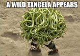 A Wild X Appears! / Wild X Appeared!