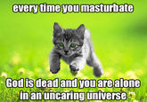 Every time you masturbate, God kills a kitten