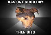 Depression Dog