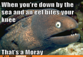 Bad Joke Eel
