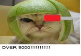 Limecat