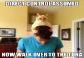 Assuming Control