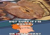 Futurama Fry / Not Sure If X