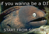 Bad Joke Eel