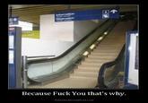 Why? Because fuck you, that's why.