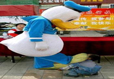 Dolan