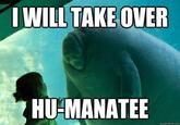 Overlord Manatee